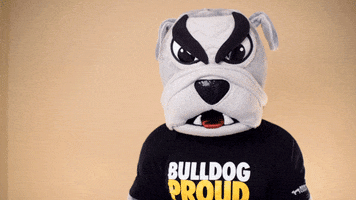 adriancollege mascot bulldog ac bulldogs GIF