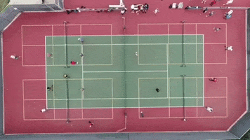picklepreferred GIF