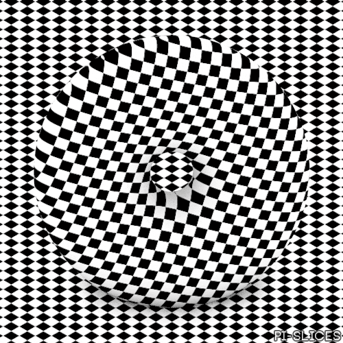 pislices loop trippy 3d black and white GIF
