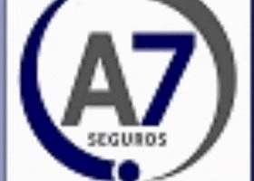 Aceti Corretora de Seguros GIF