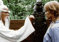 picture Kill Bill Gif Beard kill bill training gif by hoppip find