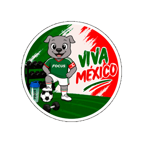 Focusteam Sticker by Focus Centros de Entrenamiento