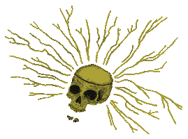 Plazamidwood Sticker by Resident Culture Brewing Company