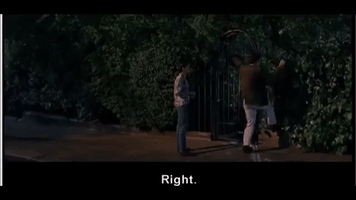 Notting Hill Oopsy Daisy GIF