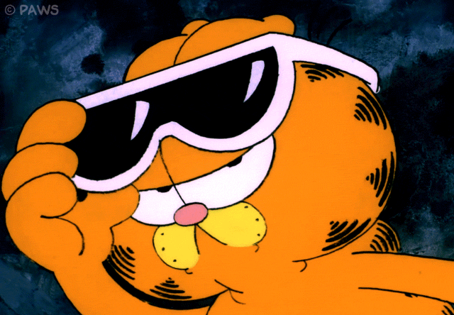 Cat Sun GIF by Garfield