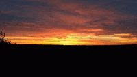New Dawn Fades Gifs Get The Best Gif On Giphy