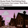 Study finds that eating dark chocolate lowers your risk of depression motion meme