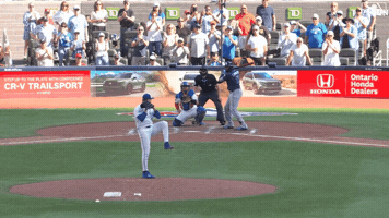 Blue Jays Baseball GIF by Toronto Blue Jays