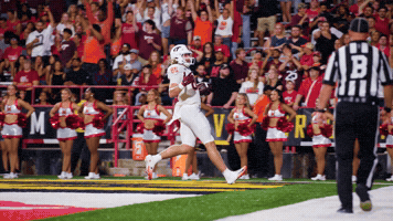 Hokies Football GIF by Virginia Tech Football