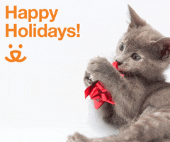 Save Them All Merry Christmas GIF by Best Friends Animal Society
