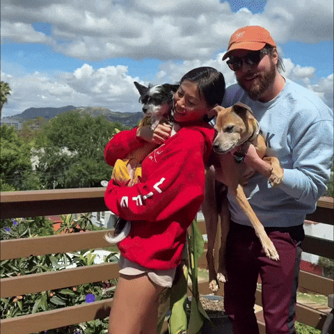 Dogs GIF