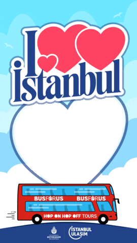 Istanbul Sticker by Pollective