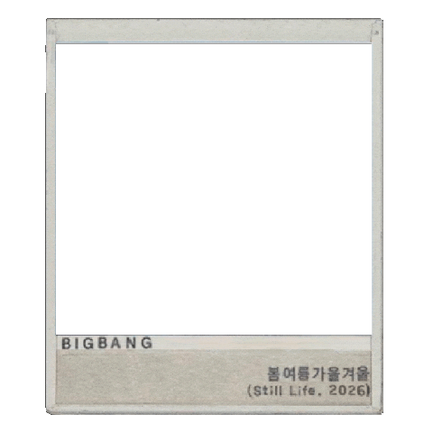 Still Life Photo Sticker