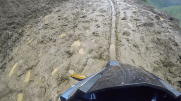 luuquy  GIF