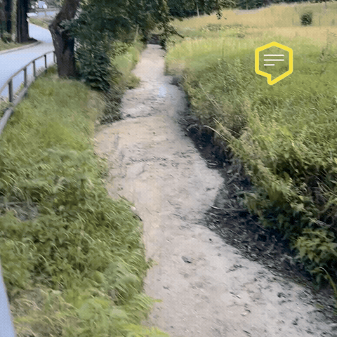 Summer Rain GIF by Linz News
