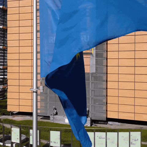 Eu Flag GIF by European Commission