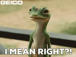 Seems About Right GIF by GEICO