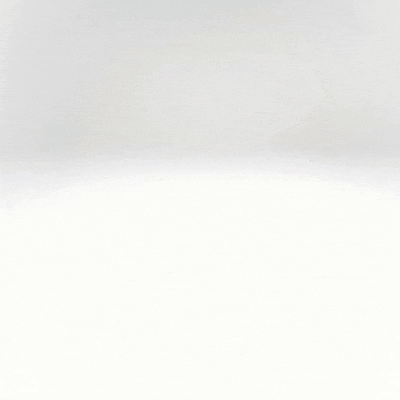 Claire Bear Foundation GIF