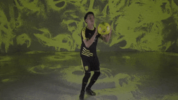 Soccer Basketball GIF by New Mexico United