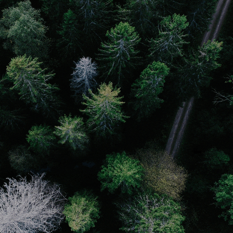 Baker Tilly Perú GIF