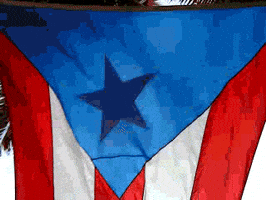 Puerto Rico Flag GIF