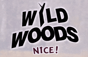 GIF by Holiday-Rental-Experts.com