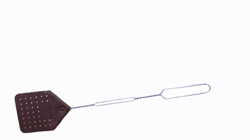 Fly Swatter GIF