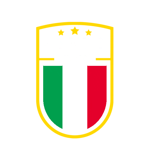 Martial Arts Italy Sticker by Champion Training Sanda Martial Art