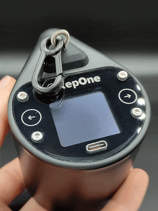 Repone GIF
