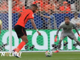 Netherlands Fifaworldcup GIF by NOLIMIT
