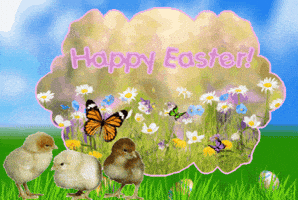 Easter Bunny Spring GIF