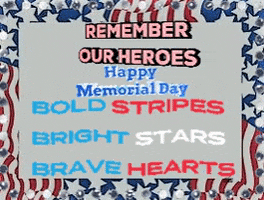 Memorial Day Love GIF by The SOL Foundation