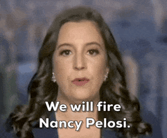Elise Stefanik Midterms GIF by GIPHY News