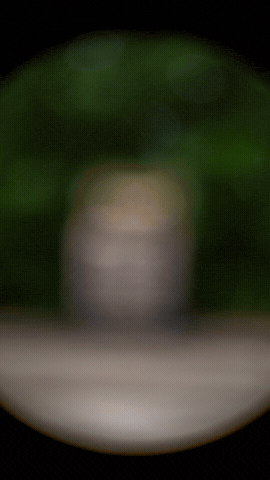 Camo Camouflage GIF by SUNEX Tools