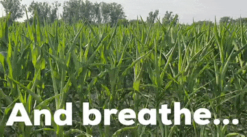 Breathe Chill Out GIF by KreativCopy
