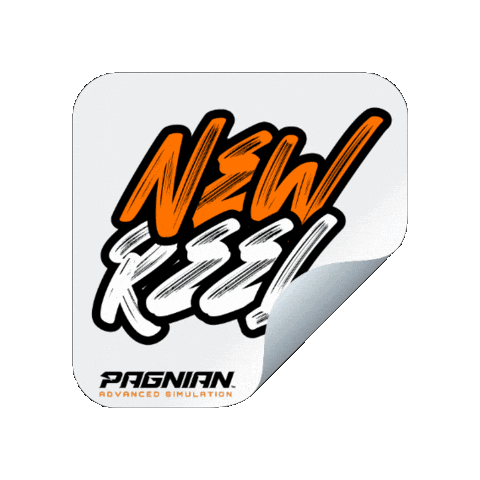 Pagnian Advanced Simulation Sticker