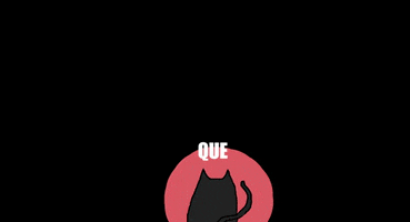 OjoDulceDesigns cat what angry gato GIF