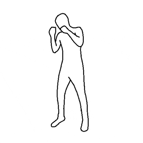 Fight Fighting GIF