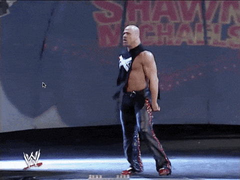 Giphy - Shawn Michaels Sport GIF by WWE