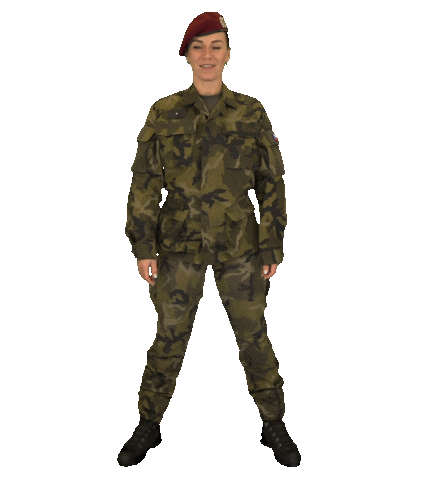 Armáda České republiky Sticker