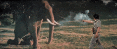 The Mighty Peking Man GIF
