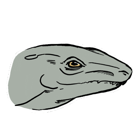 Smile Sticker
