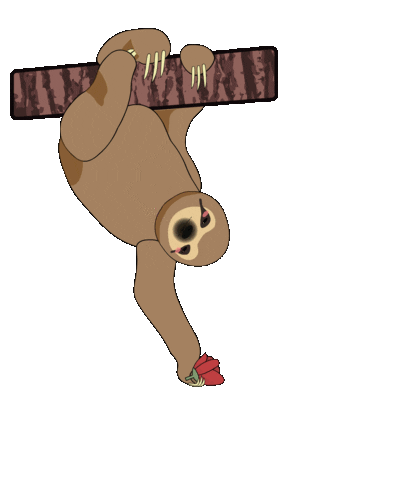 Costa Rica Love Sticker