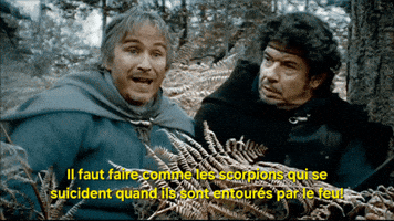 Scorpion Feu GIF