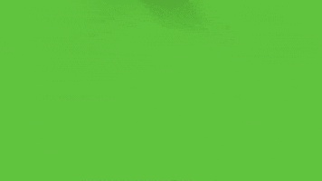 Kpnkat GIF by KPN