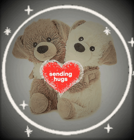 Digital art gif. Two puppy stuffed animals hug each other as stars flash around them. A glittering red heart rests over the puppies and text inside reads, "sending hugs."