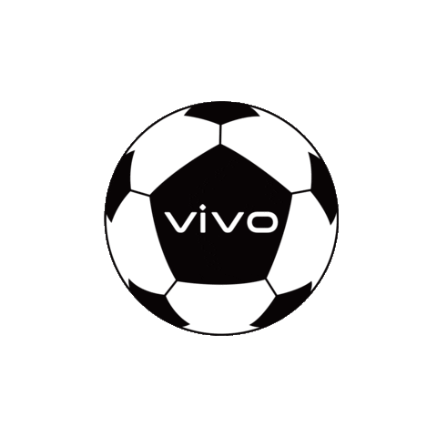 vivo_global Sticker