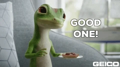 Good One Touche GIF by GEICO