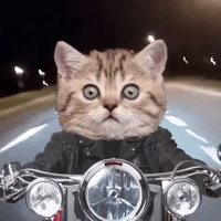On My Way Goodbye GIF by Bubble Punk