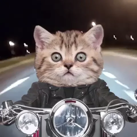 On My Way Goodbye GIF by Bubble Punk